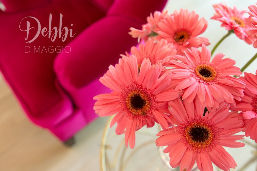 debbi-pink-logo-300699